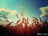 北京玥雅科技有限责任公司