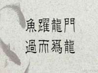 北京玥雅科技有限责任公司