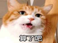 北京玥雅科技有限责任公司