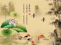 北京玥雅科技有限责任公司