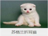 北京玥雅科技有限责任公司