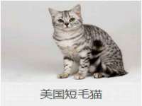 北京玥雅科技有限责任公司