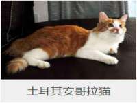 北京玥雅科技有限责任公司