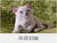 北京玥雅科技有限责任公司