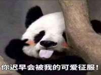 北京玥雅科技有限责任公司