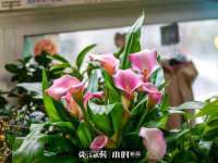 北京玥雅科技有限责任公司