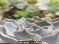 北京玥雅科技有限责任公司