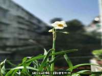 北京玥雅科技有限责任公司