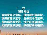 北京玥雅科技有限责任公司