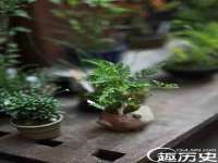 北京玥雅科技有限责任公司