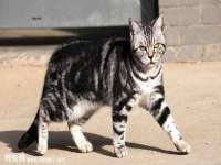 北京玥雅科技有限责任公司