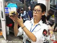 北京玥雅科技有限责任公司
