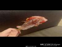 北京玥雅科技有限责任公司
